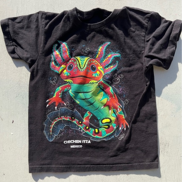 Kid's Chichen Itza T-Shirt Black Mexico NO SIZE Mayan Tourism Aztec Ruins Tower - Picture 1 of 10